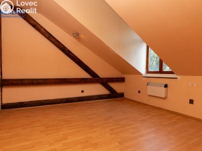Sale apartment 3+1 Český Těšín, Masarykovy sady č. 15