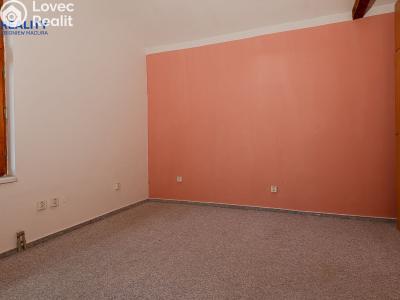 Sale apartment 3+1 Český Těšín, Masarykovy sady č. 19