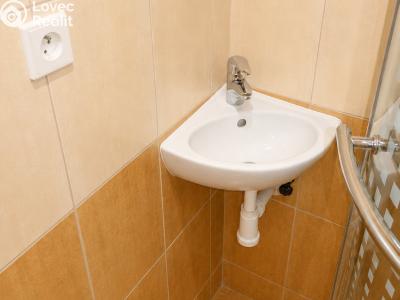 Prodej bytu 1+1 Ústí nad Labem, Pod Parkem č. 7