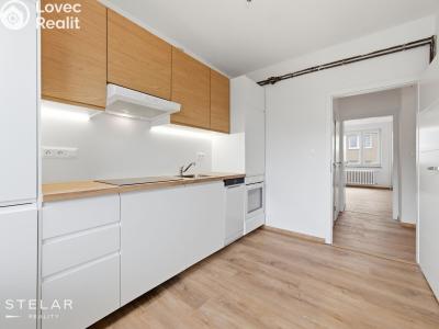 Продаж квартири 3+1 Lysice, Oulehla 520 č. 5