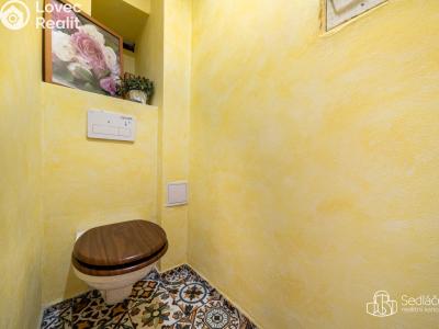 Продажа семейного дома Březová, Okružní č. 11