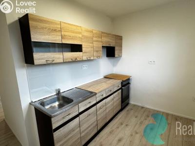 Rent apartment 2+1 Ktiš č. 3
