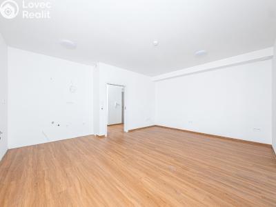 Prodej bytu 2+KK Lázně Bohdaneč, Šípkova 187 č. 9