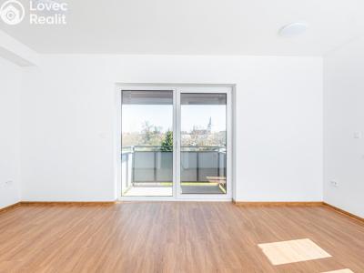 Prodej bytu 2+KK Lázně Bohdaneč, Šípkova 187 č. 12