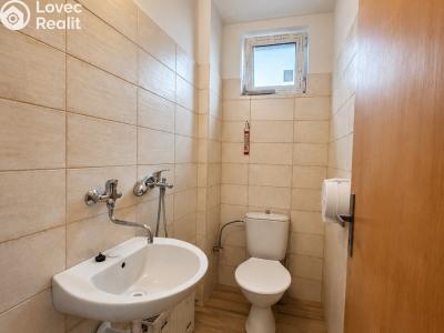 Prodej komerční nemovitosti Brtnice č. 18