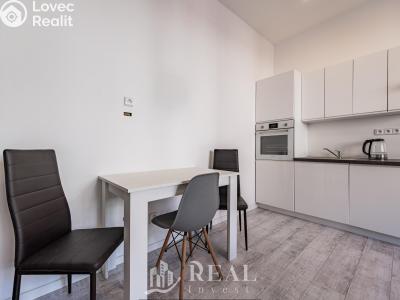 Sale family house Louny, Prokopova 492 č. 5