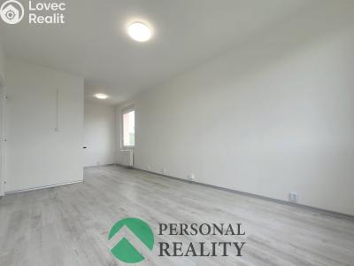 Pronájem bytu 2+KK Bílina, Čapkova 838 č. 10
