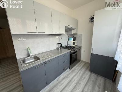 Prodej bytu 3+1 Bílina, M. Švabinského 607 č. 5