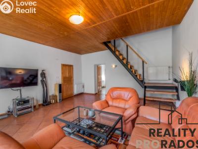 Продажа семейного дома Neratovice, K Přívozu 62 č. 7