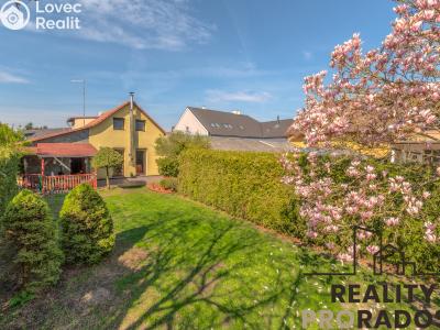 Продажа семейного дома Neratovice, K Přívozu 62 č. 19
