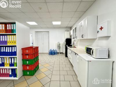 Rent commercial space Sokolov, Ondříčkova č. 7