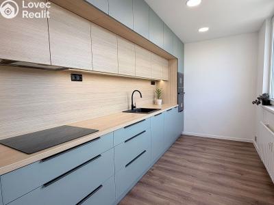 Sale apartment 3+1 Ostrava, Markova č. 1