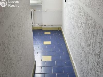 Pronájem bytu 1+1 Jirkov, Osvobození 1114 č. 2