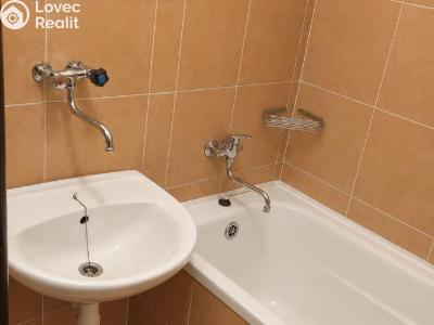 Pronájem bytu 1+1 Jirkov, Osvobození 1114 č. 6