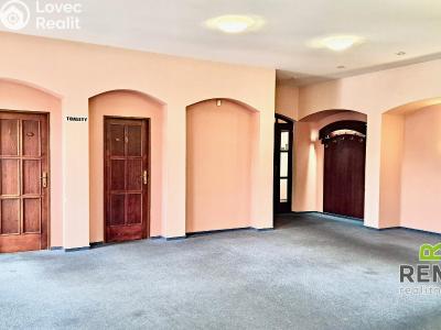 Оренда ресторану Kunovice, V Grni č. 1