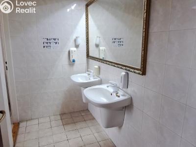 Rent restaurant Kunovice, V Grni č. 6