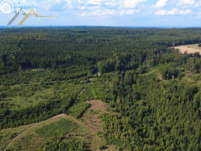 Продажа хижины Vitín č. 21