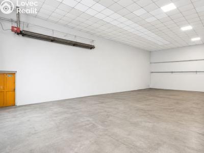 Rent warehouse Kladno, Libušina 248 č. 2
