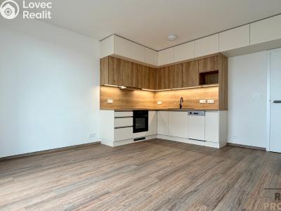 Аренда квартиры 2+KK Brno, Jižní č. 1