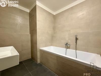 Аренда квартиры 2+KK Brno, Jižní č. 3