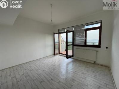 Rent apartment 1+KK Litvínov, Koldům 1581 č. 1