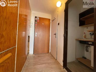 Rent apartment 1+KK Litvínov, Koldům 1581 č. 8