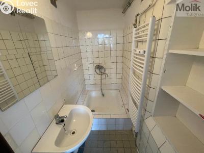 Rent apartment 1+KK Litvínov, Koldům 1581 č. 9
