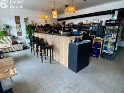 Rent restaurant Praha č. 10