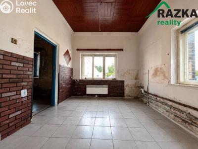Sale family house Velká Hleďsebe, Petra Bezruče č. 15