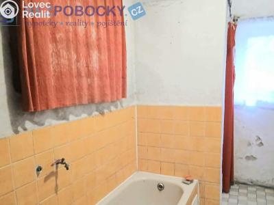 Продаж сімейного будинку Šlapanov č. 4