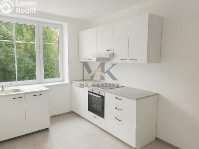 Rent apartment 1+1 Volary, Příčná 535 č. 1