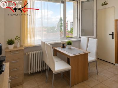 Prodej bytu 2+1 Roudnice nad Labem, Alej 17. listopadu č. 8