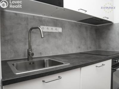 Rent apartment 3+KK Kralupy nad Vltavou, Na Skalách 2120 č. 9