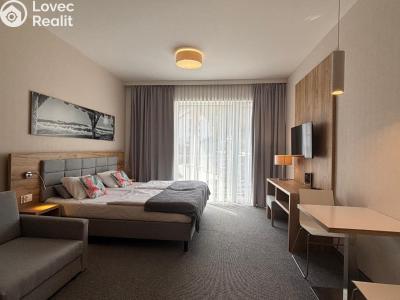 Prodej apartmánů Dolní Morava č. 1