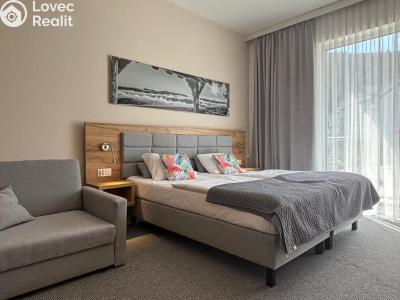 Prodej apartmánů Dolní Morava č. 2