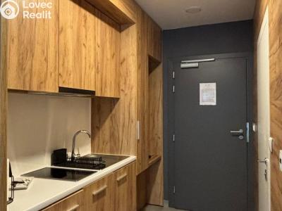 Prodej apartmánů Dolní Morava č. 4