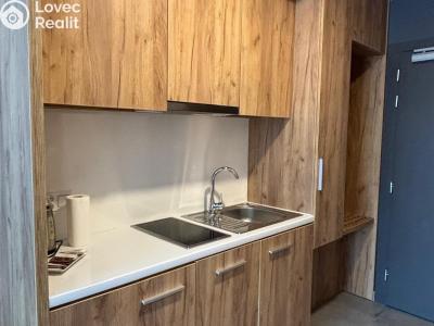 Prodej apartmánů Dolní Morava č. 7