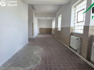 Rent commercial space Tachov, Okružní č. 13