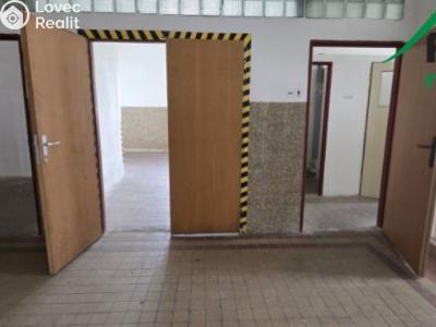 Rent commercial space Tachov, Okružní č. 16