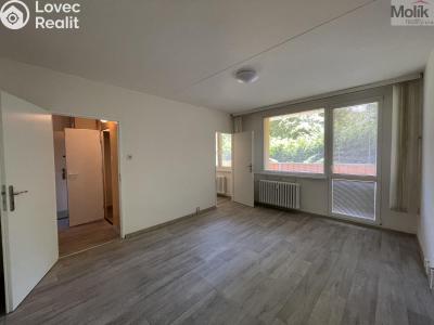 Pronájem bytu 1+KK Bílina, Alšova 223 č. 1