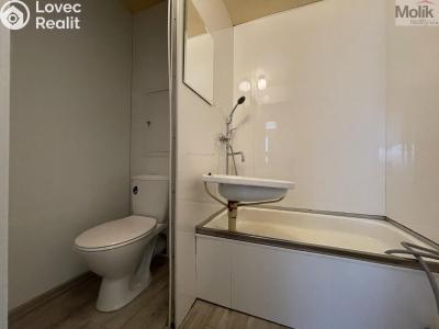 Pronájem bytu 1+KK Bílina, Alšova 223 č. 5