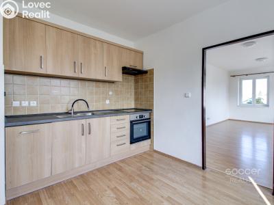 Rent apartment 1+1 Brandýs nad Labem-Stará Boleslav, Boleslavská č. 4