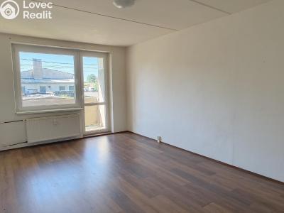 Rent apartment 2+1 Hošťka č. 1