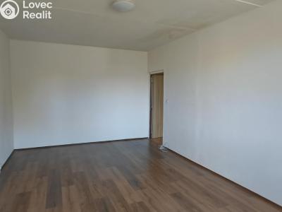 Rent apartment 2+1 Hošťka č. 2
