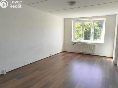 Rent apartment 2+1 Hošťka č. 3