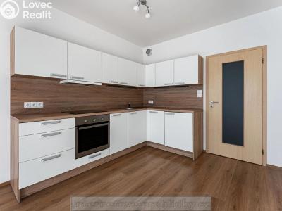 Pronájem bytu 1+KK Praha č. 5