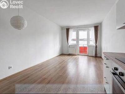 Pronájem bytu 1+KK Praha č. 3