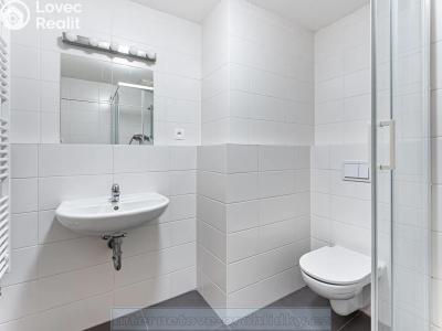 Pronájem bytu 1+KK Praha č. 4