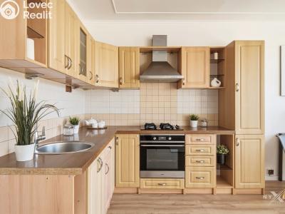 Sale apartment 3+KK Kladno, Italská 2315 č. 15