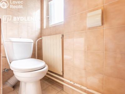 Prodej bytu 3+1 Teplice, Boženy Němcové 2397 č. 19